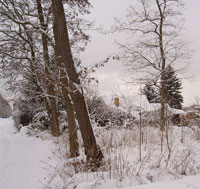 © Foto Sylvia Wentzlau