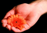 © Foto Marco Barnebeck/pixelio.de